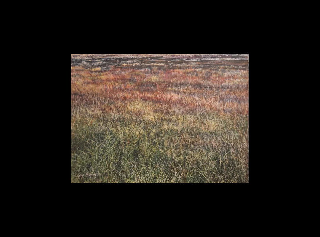 Emer Gaffey Painting
