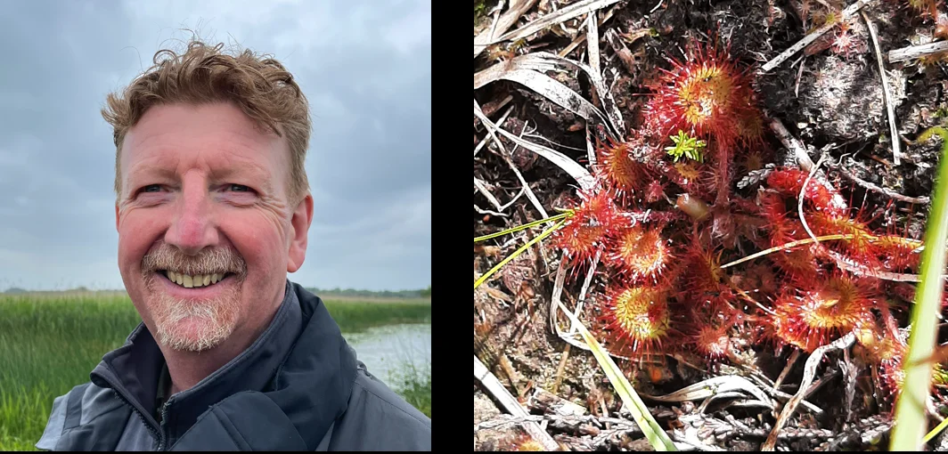 Poet Mel Mac Giobuin and his photo of a Sundew taken on Cornafulla Bog