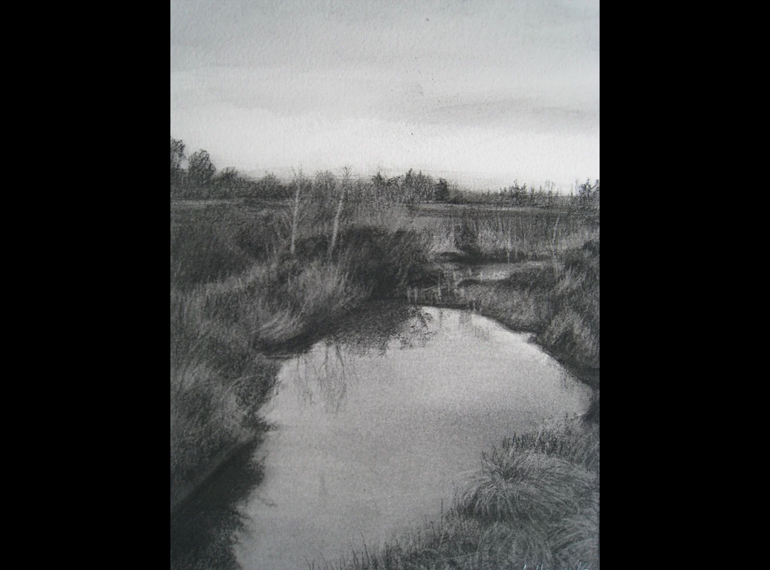 Charcoal drawing of a Winter Bog by Lelia Henry