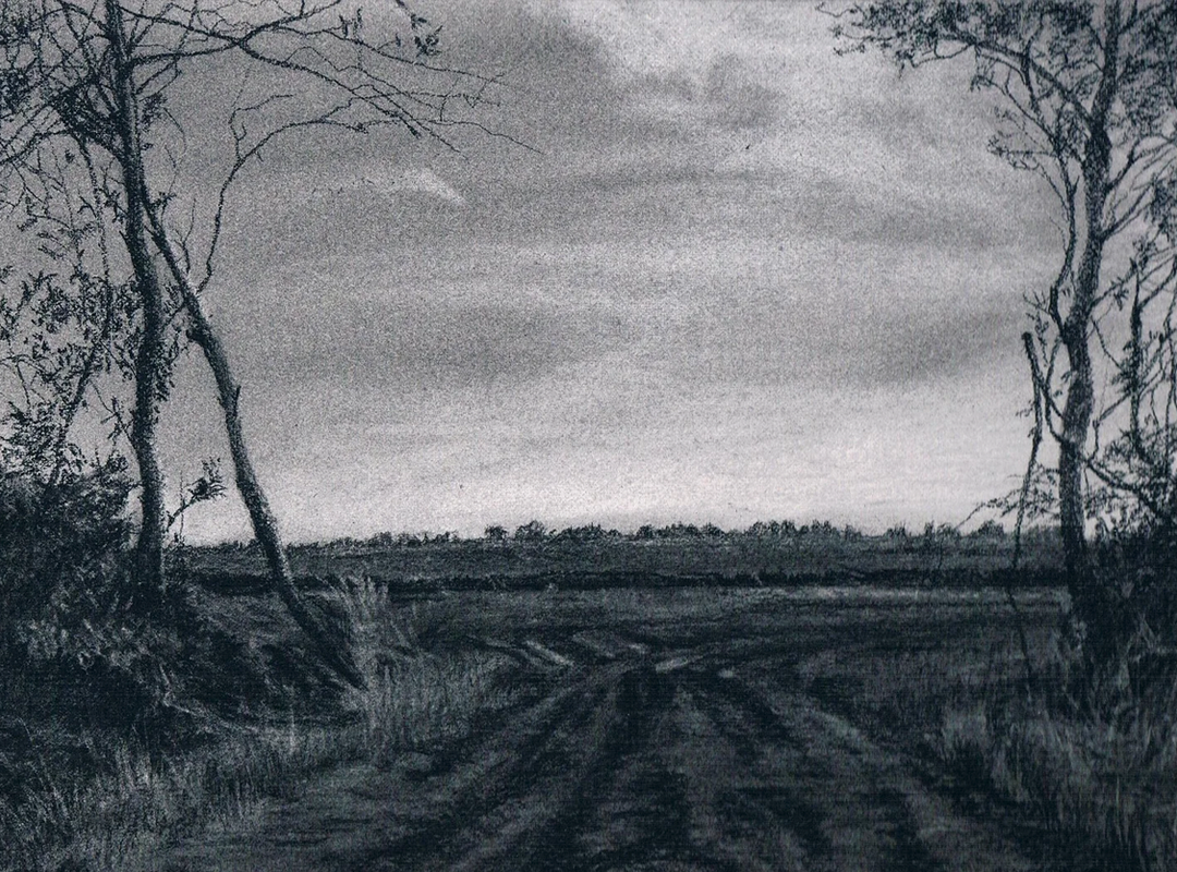 Charcoal drawing of a Winter Bog by Lelia Henry