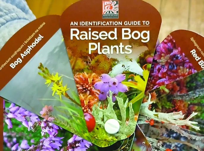 Illustrated raised bog plant identification swatches