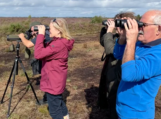 Four people observing birds with binoculars and a spotting scope